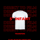 Single DTF Transfers